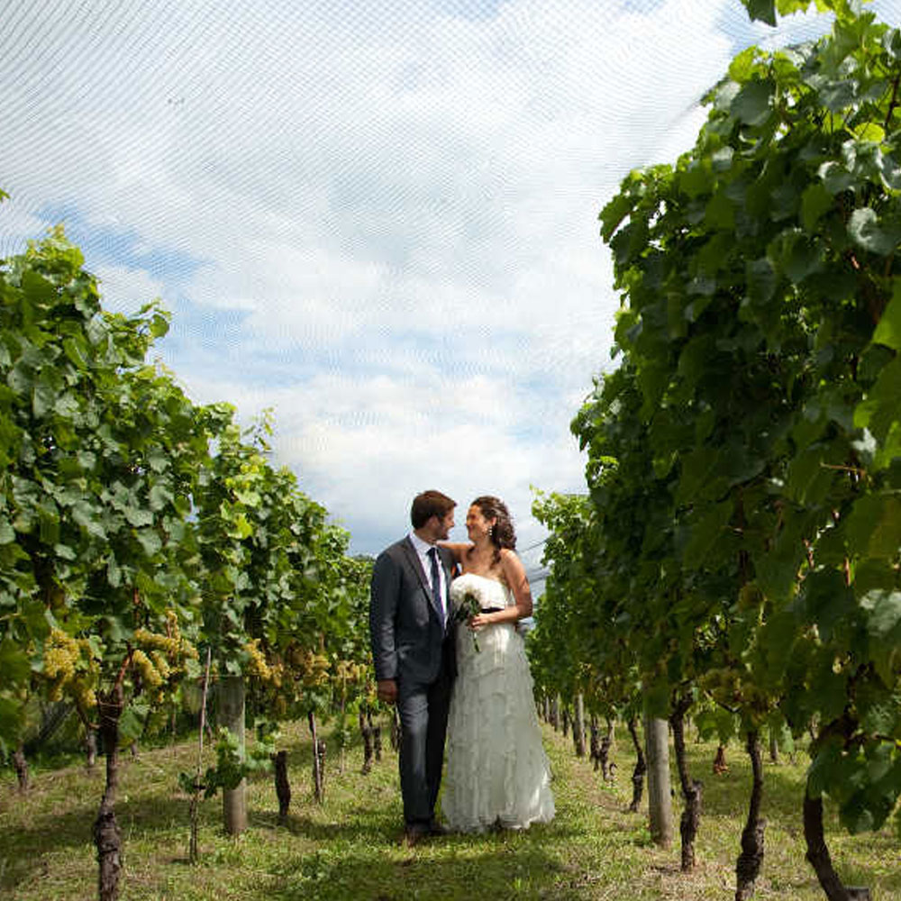 wedding-vineyard